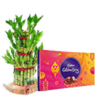 Rakhi Gifts to India