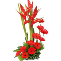 Send Flowers to India at Midnight