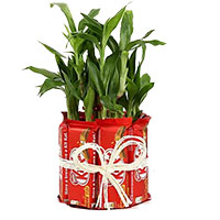 Rakhi Gifts to India