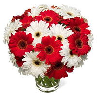 Deliver Online Flowers to India