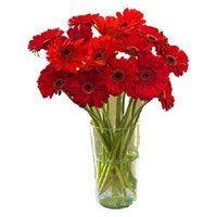 Online Flowers Delivery to Haryana