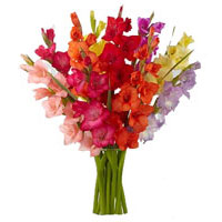 Best Flower Delivery in India