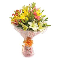 Flowers and Petals India : Pink White Lily