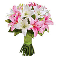 Valentine's Day Flower Delivery in India : Pink White Lily