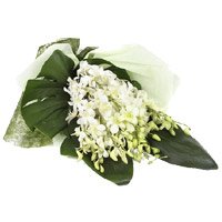 Send Flowers to India