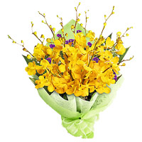 Online Flowers to India